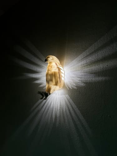 SkyRaptor: Eagle Wings LED Lamp